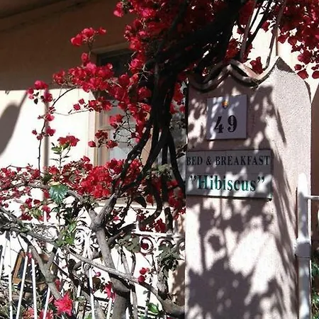 לינה וארוחת בוקר Hibiscus